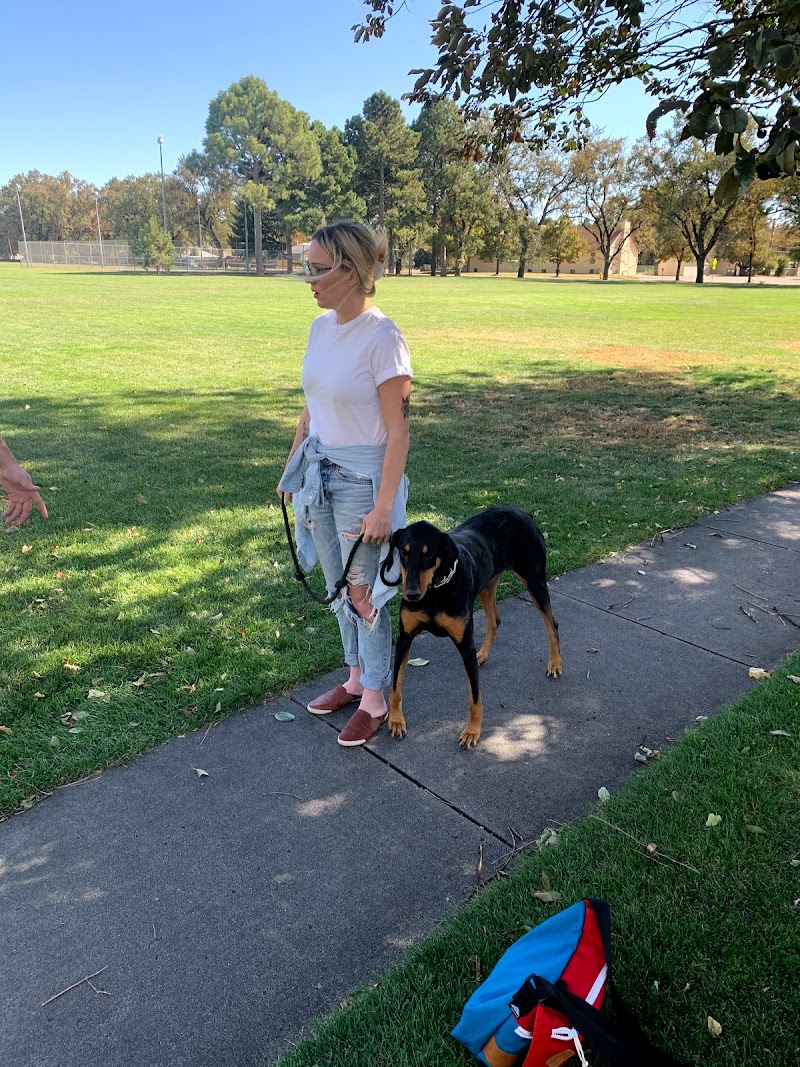 Two Tails Training cover image