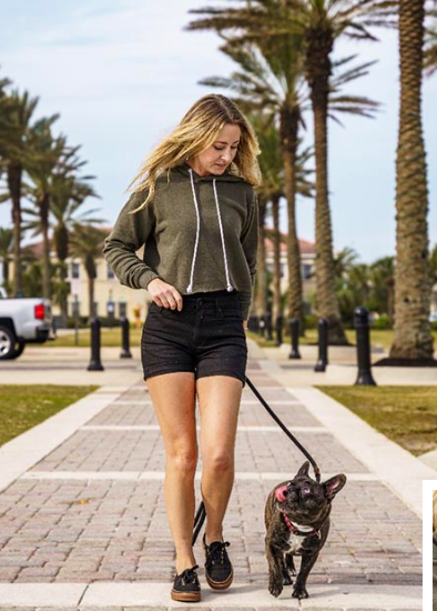 LuckySevenK9 Dog Training cover image