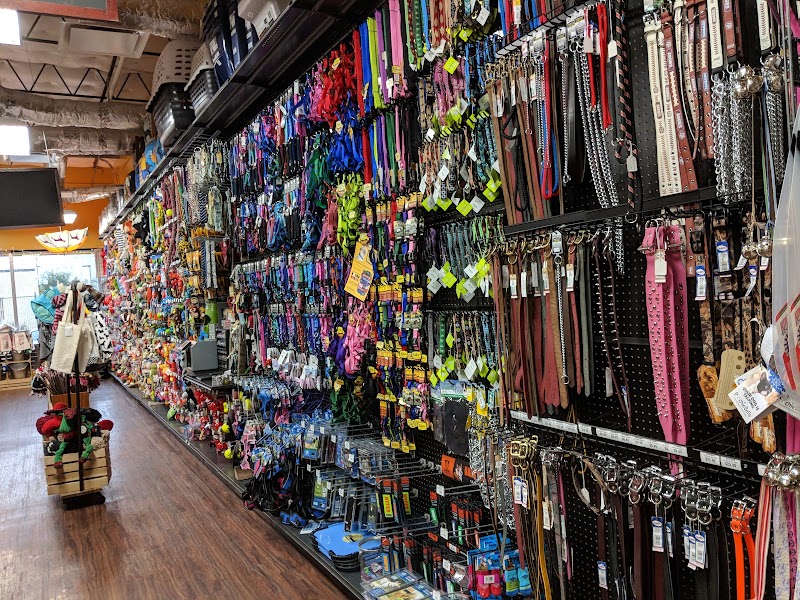 Hollywood Feed cover image