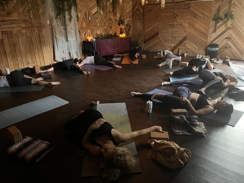 Elevation Central | Private Wellness Retreat & Integration Center, Coaching, Yoga & Meditation, cover