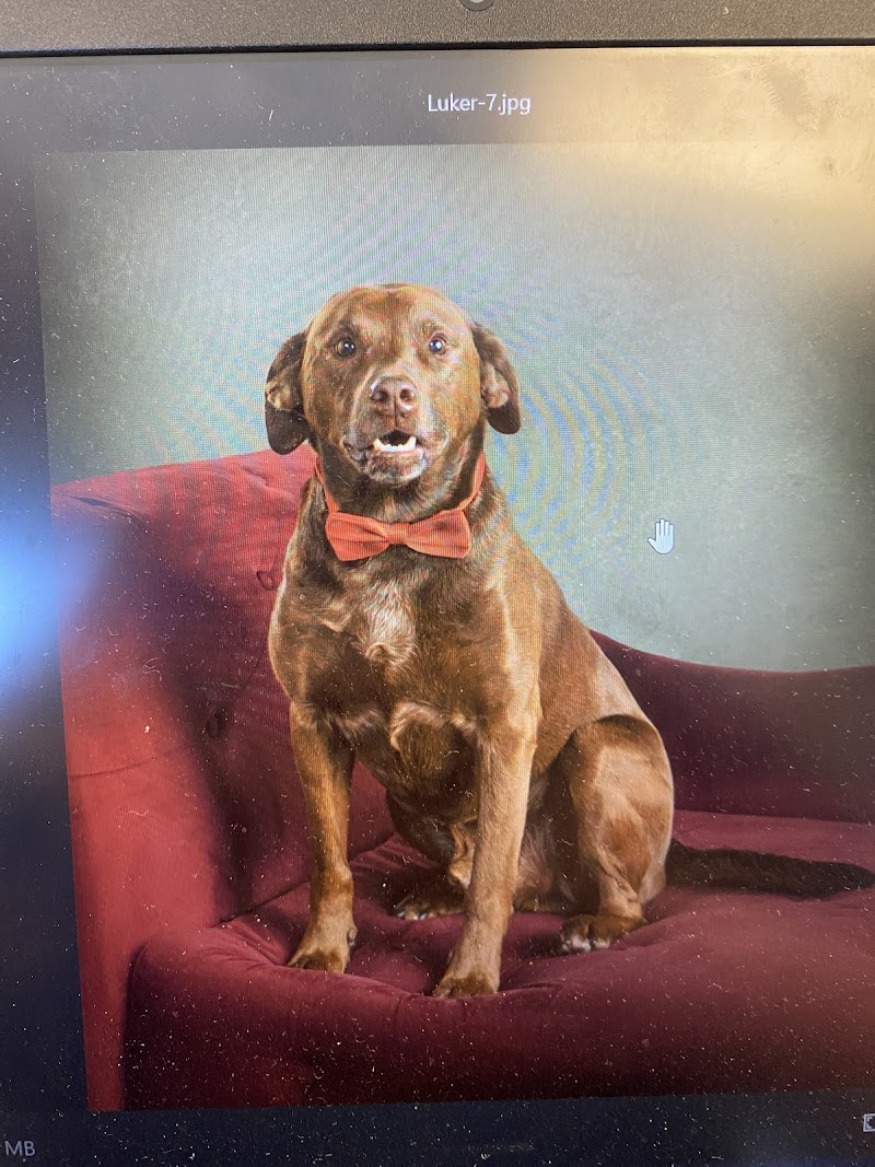 Park Hill Fine Art Portraits cover image