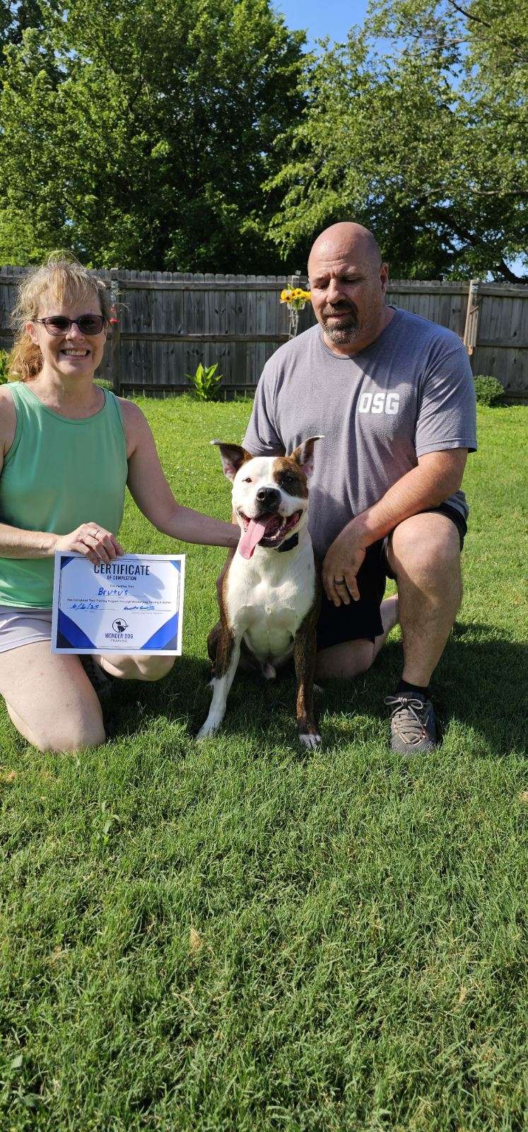 Wonder Dog Training & Games cover image