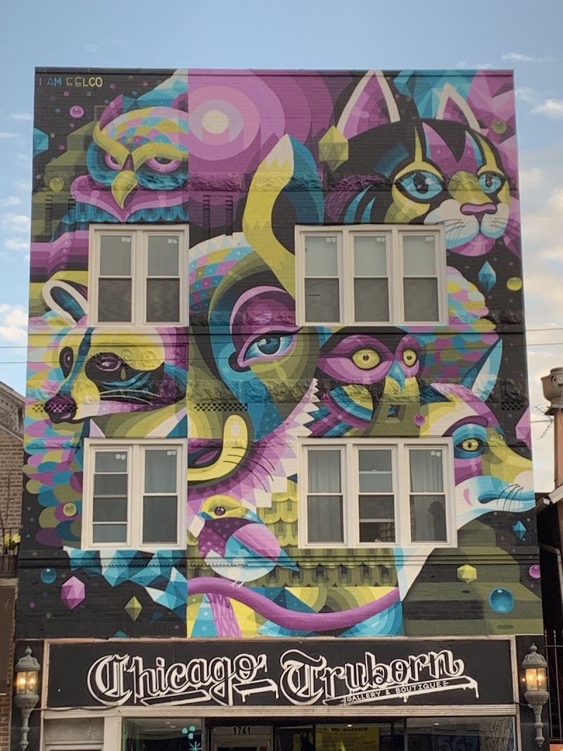 Chicago Truborn cover image