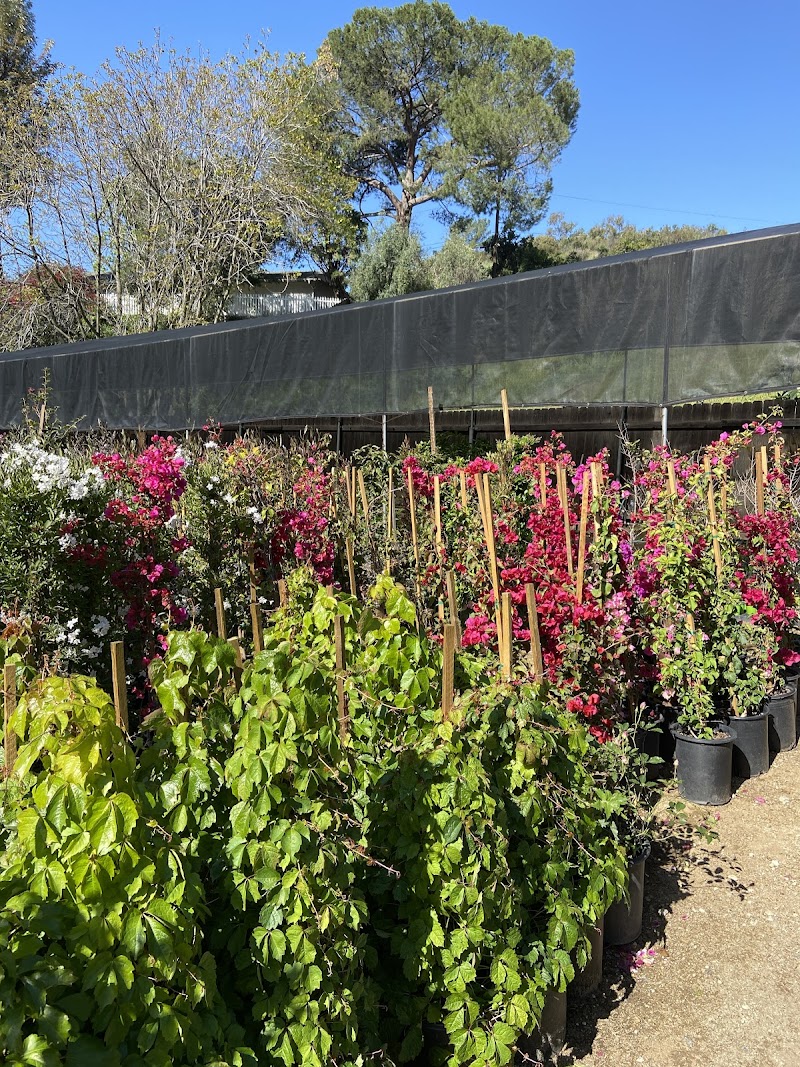 Annandale Garden Center cover image