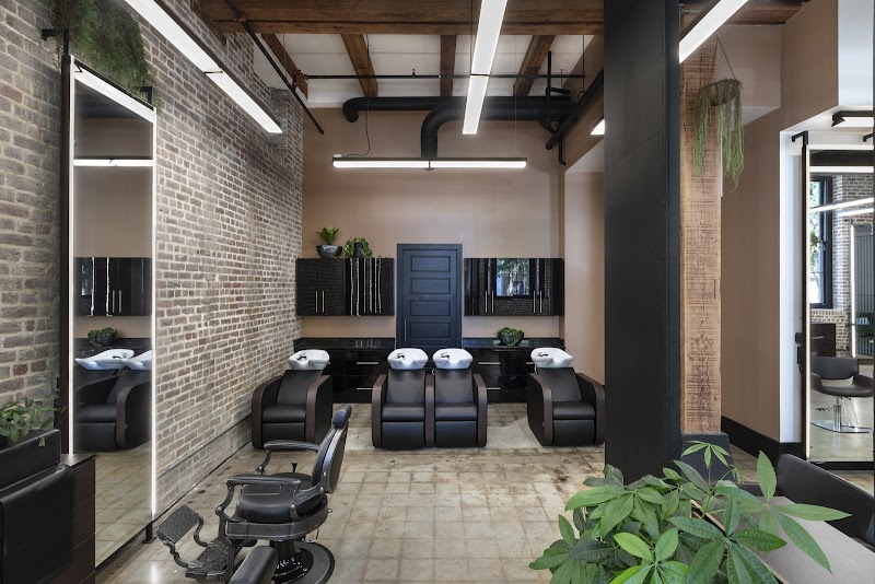 Anti-Gravity Salon cover image