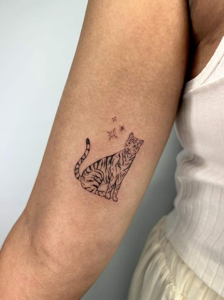 HISH Tattoo cover image