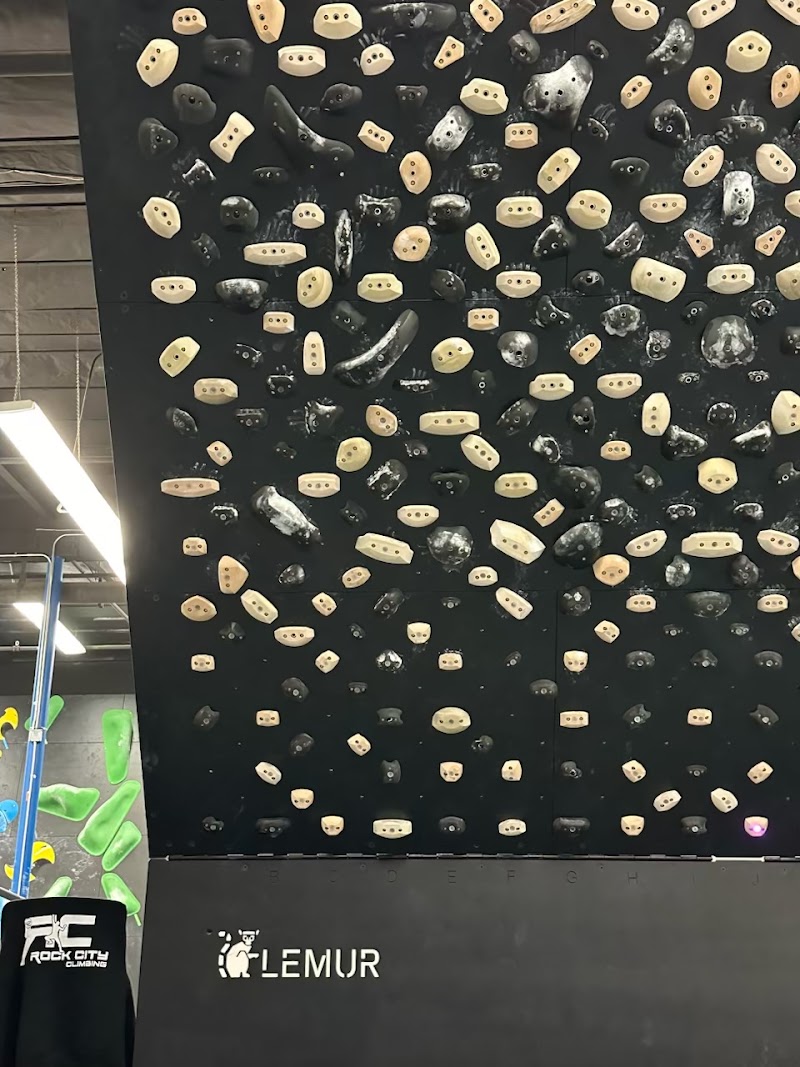 Rock City Climbing cover image