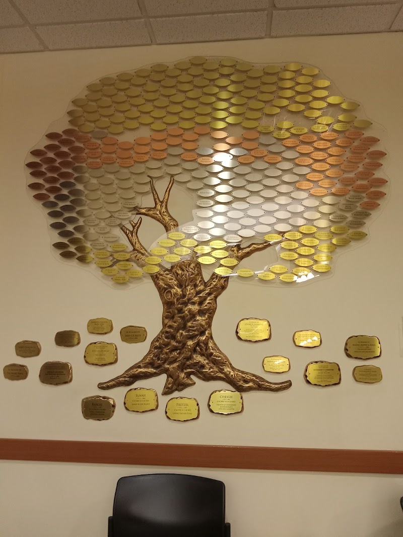 BluePearl Pet Hospital cover image