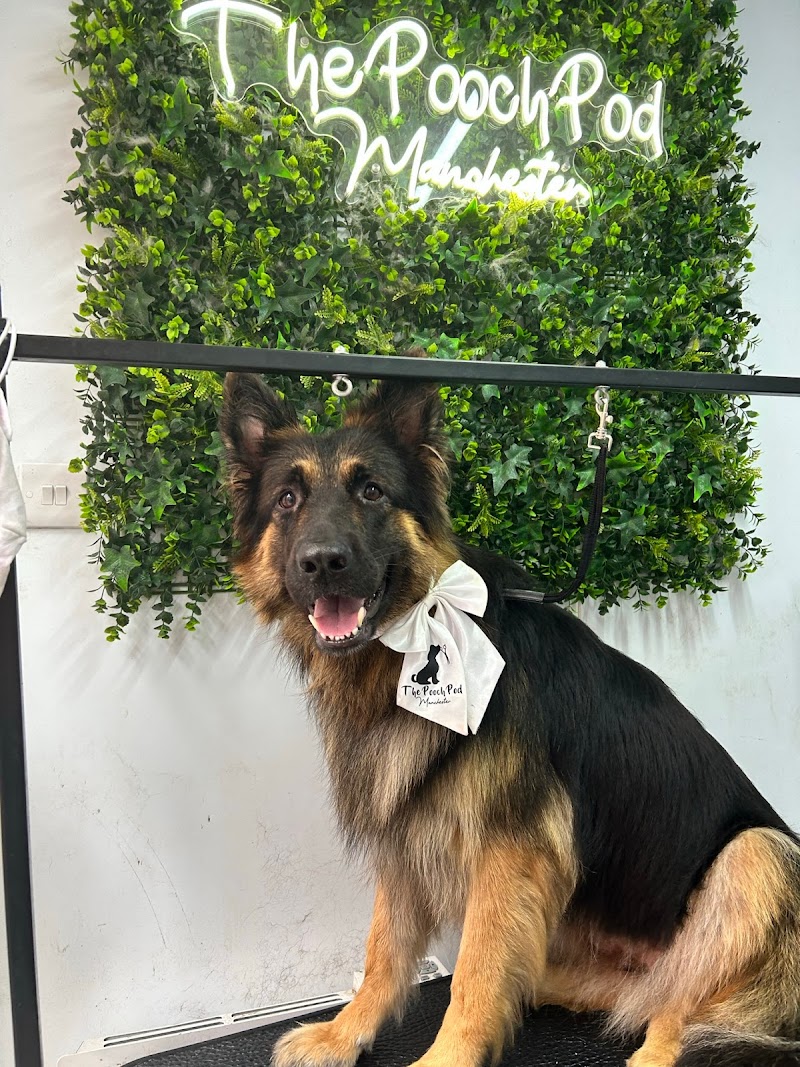 The Pooch Pod Manchester cover image