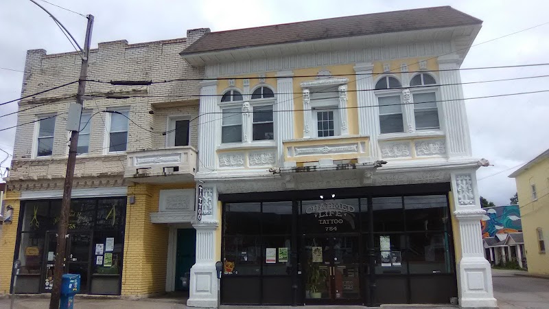 The Illustrated Barber cover image