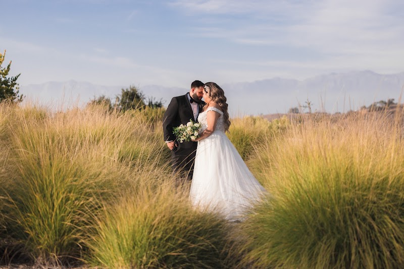 Cova Films cover image