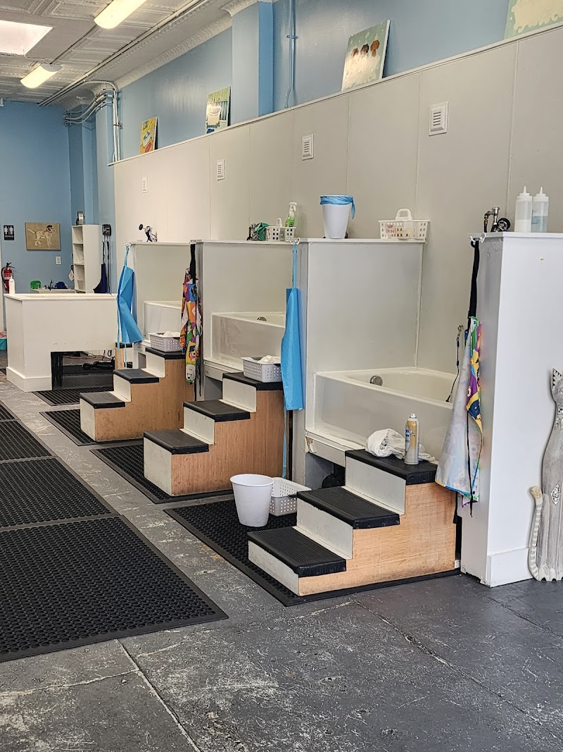 Diamonds and Dutch Pet Bath & Spa cover image