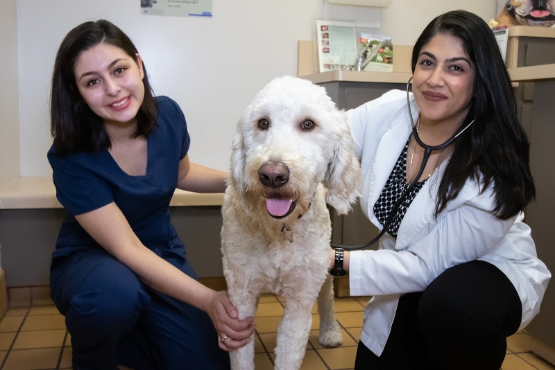 Alum Rock Animal Hospital cover image