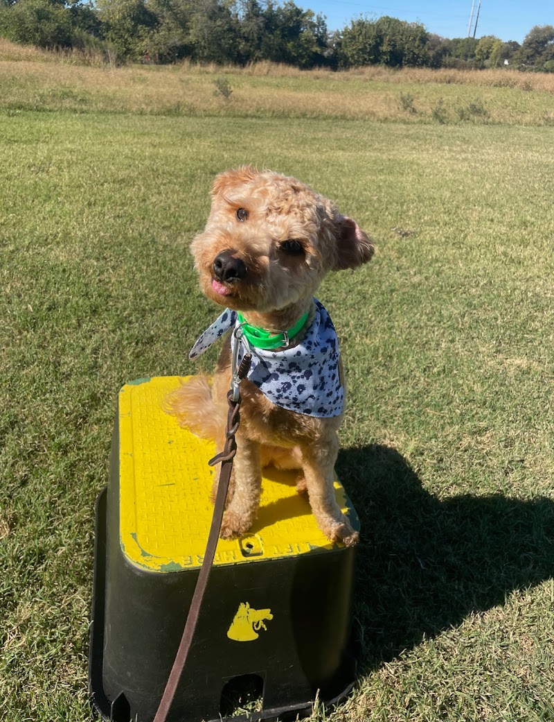 Tip Top K9 cover image