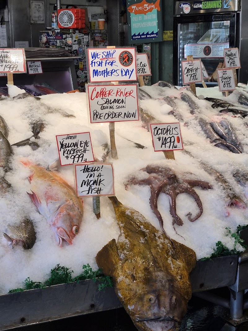 Show Me Seattle cover image