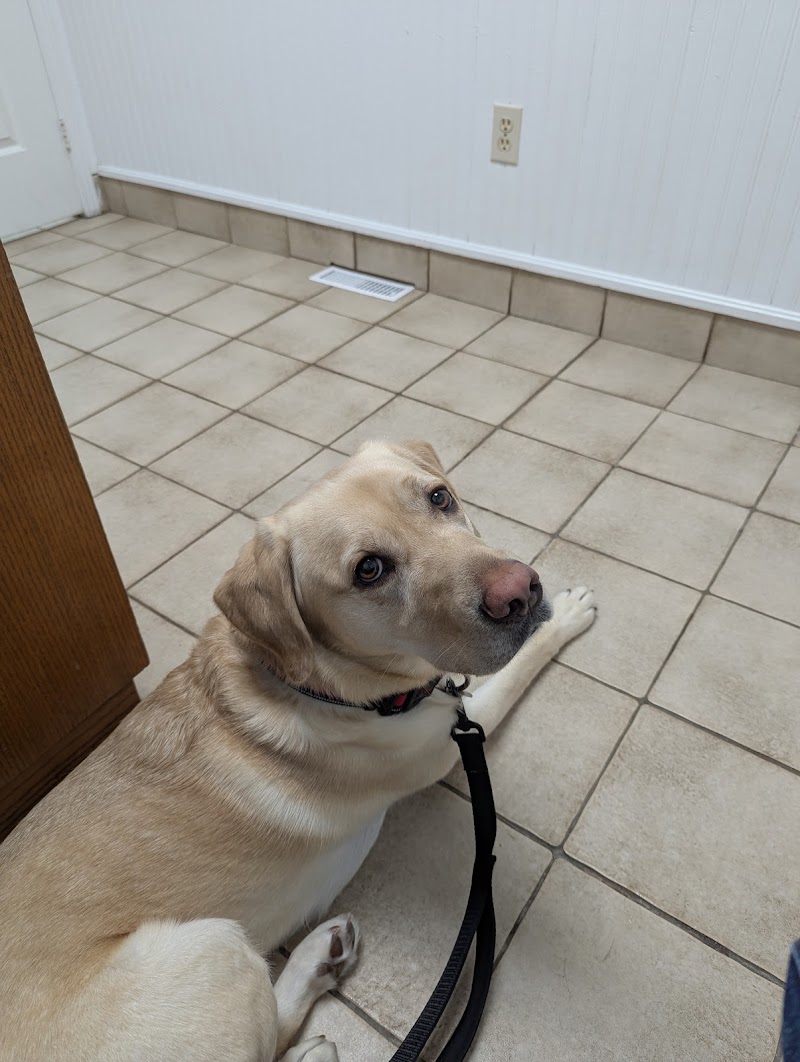 Clark Animal Hospital cover image