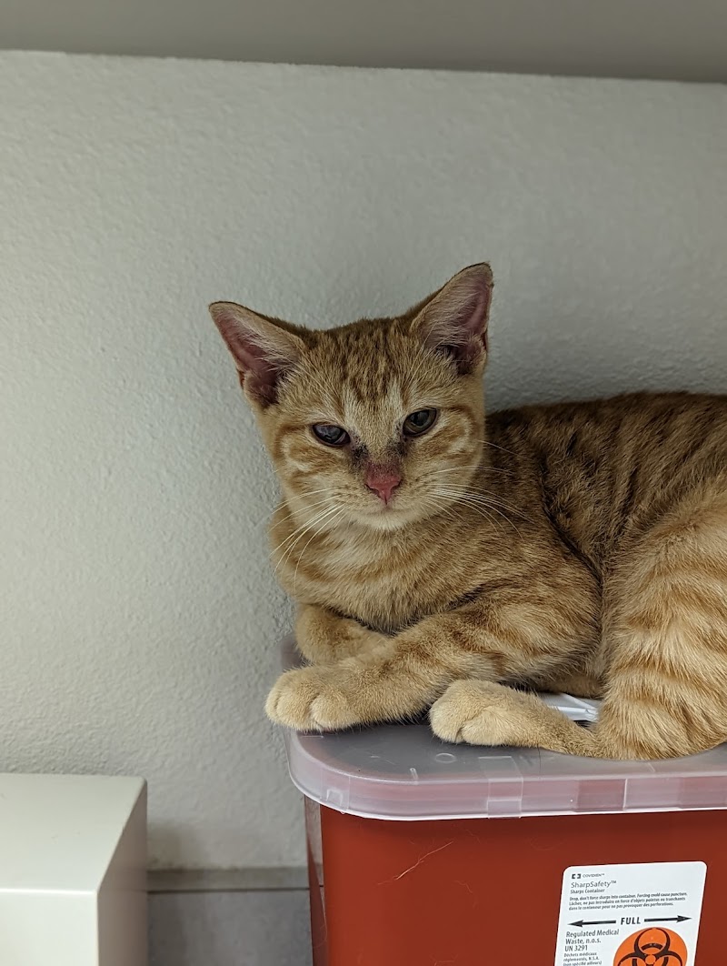 Harris Parkway Animal Hospital cover image