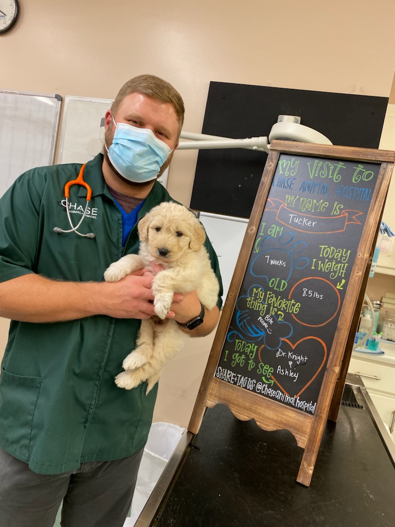 Chase Animal Hospital cover