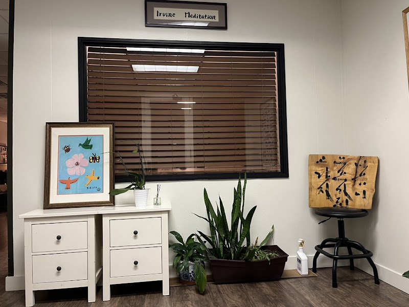 Irvine Meditation cover image