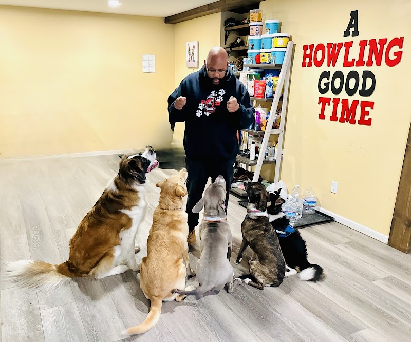 A Howling Good Time Dog Training LLC cover