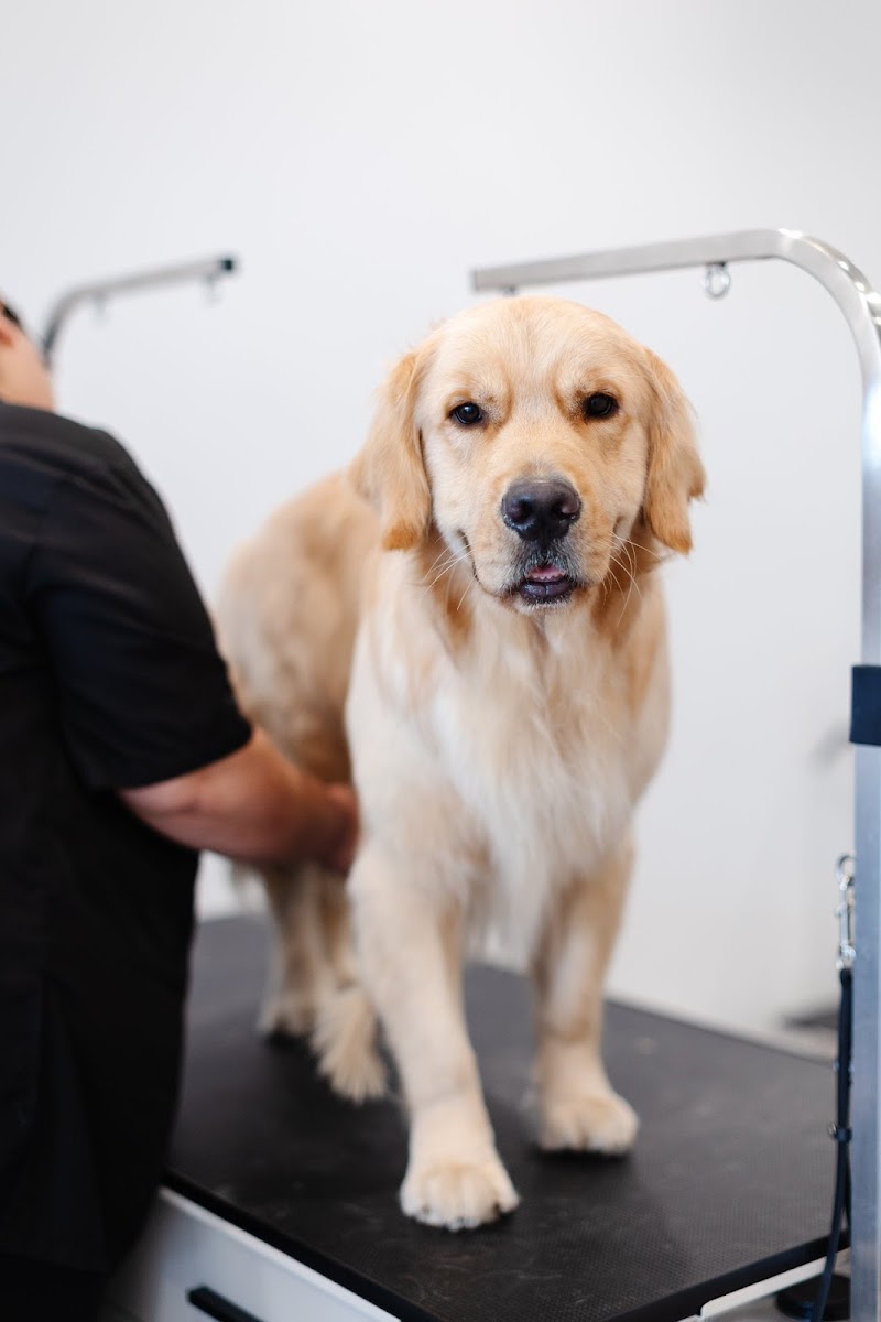 Sparkle Grooming Co. cover image