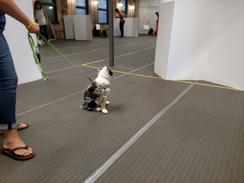 PAWS Chicago Training Center cover image