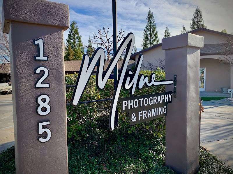 Milne Photography cover image