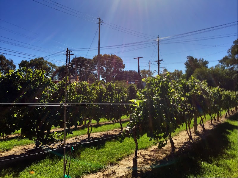 Château Hough Vineyards and Winery cover