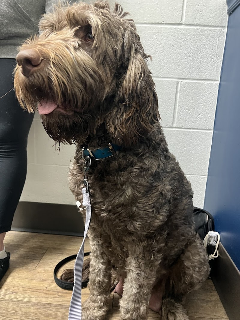 McGehee Clinic For Animals cover