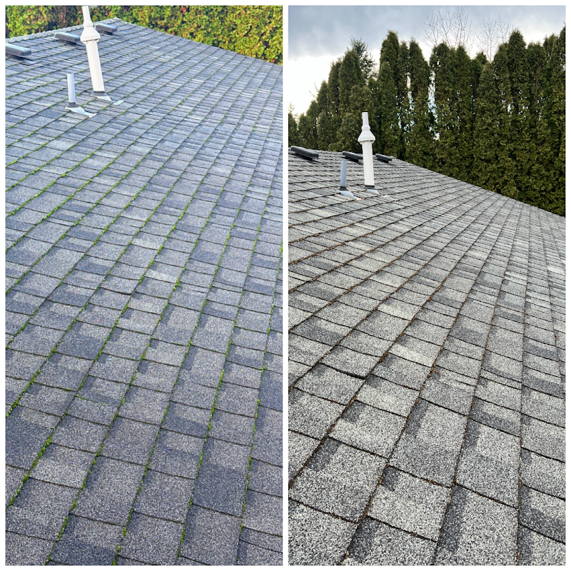 AA Window, Roof & Gutter Cleaning cover image