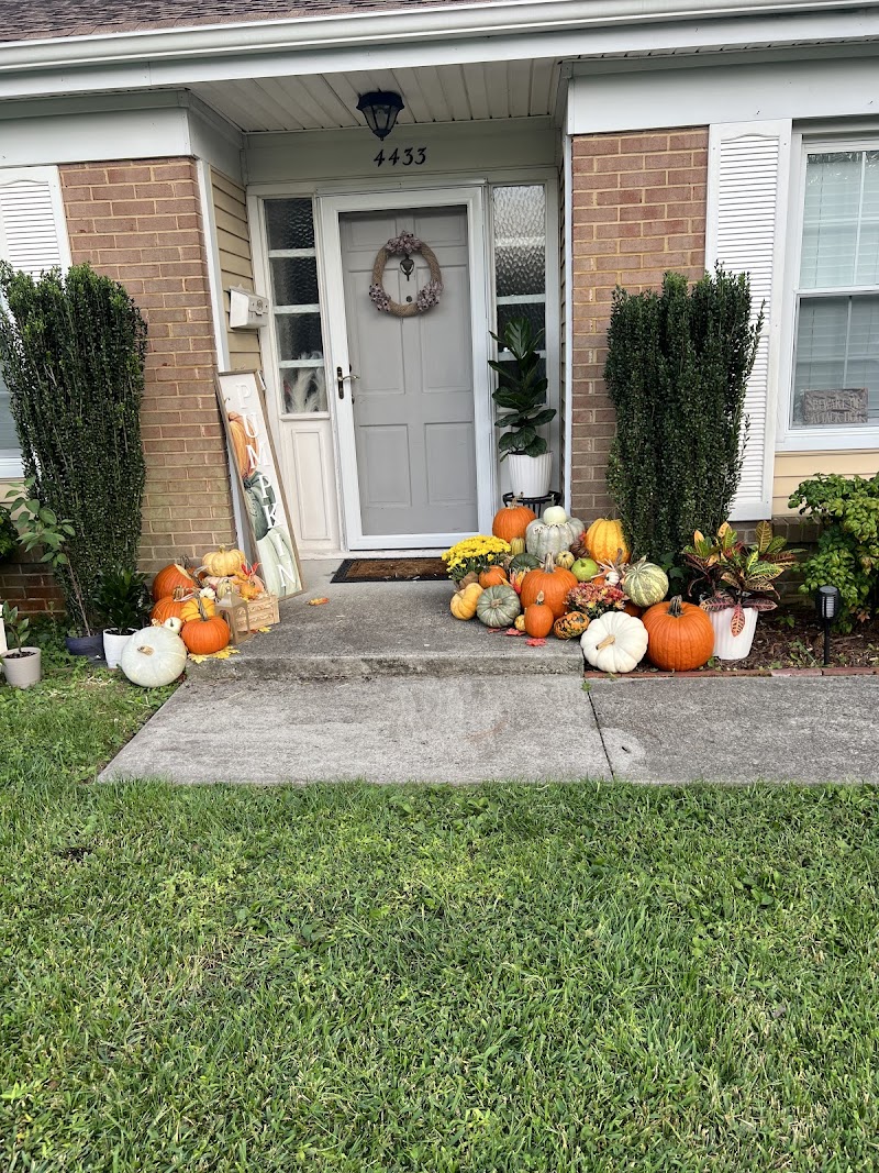 Limpio House Cleaning LLC cover image