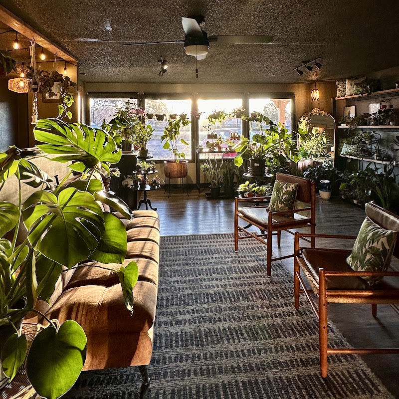 The Rooted Rose cover image