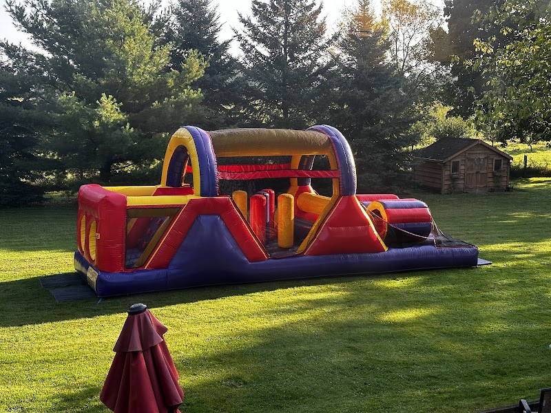 Serjo's Bouncy Castles cover image