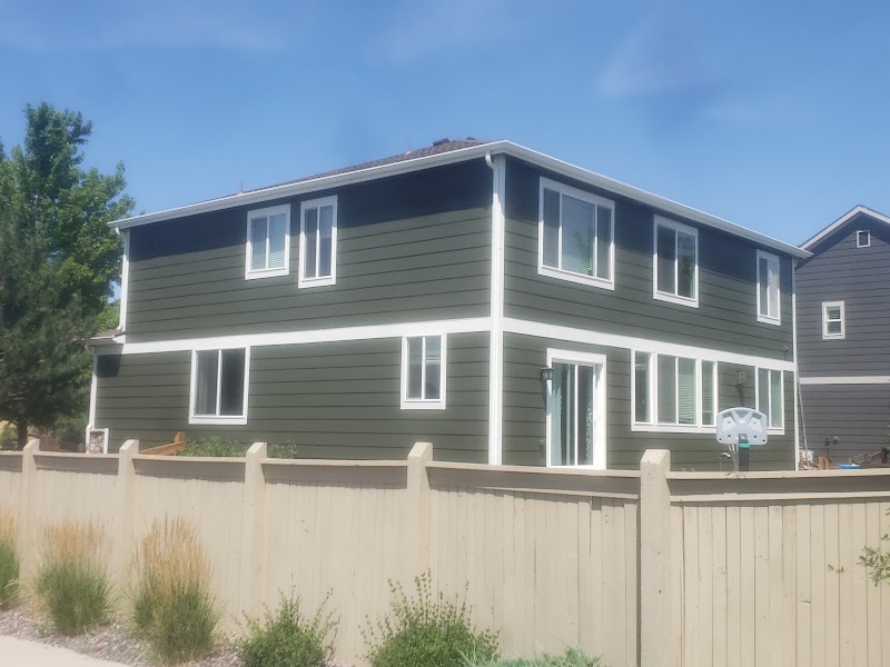 Igor's Painting cover image