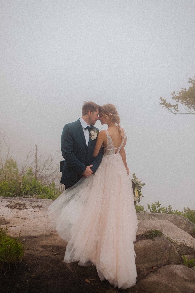 Papillon Visuals Photography & Videography cover image