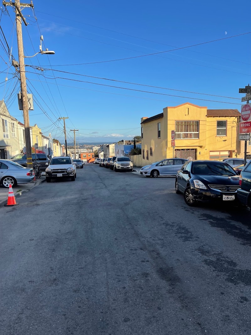 Tree Service San Francisco cover image