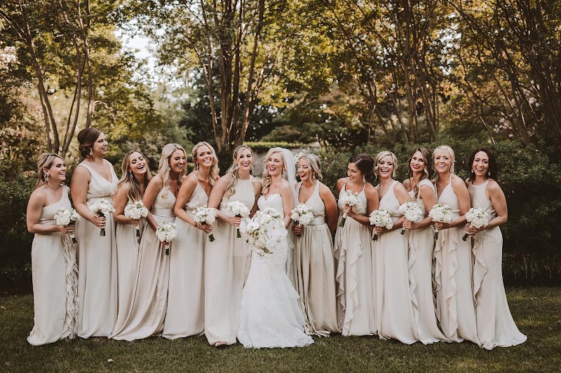 Pineapple Processions cover image