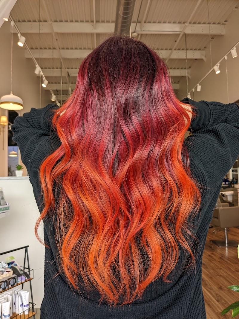 Ritual Salon cover image