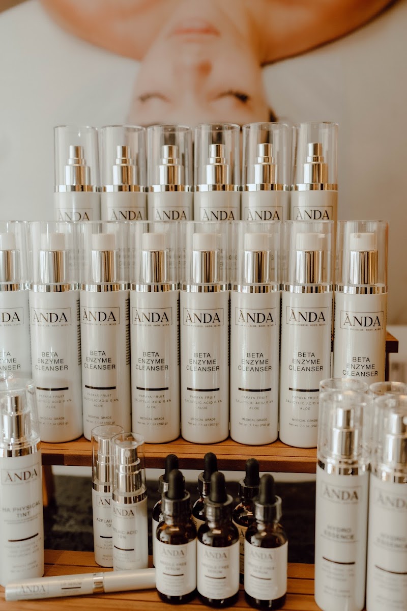 The Social Butterfly - Media Consulting cover image