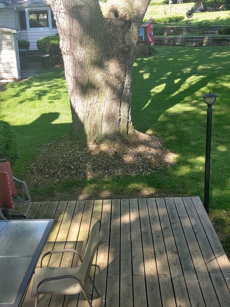 Outdoor Oasis Landscaping cover image