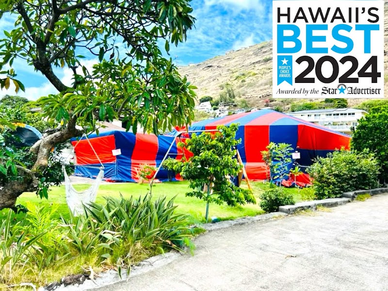 Absolute Termite And Pest Control cover image