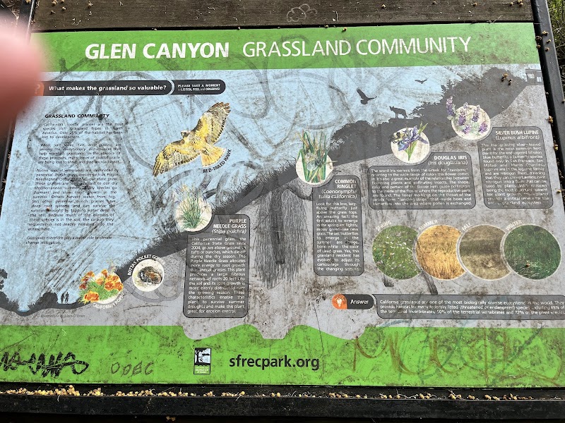 San Francisco Creative Learning Solutions cover image