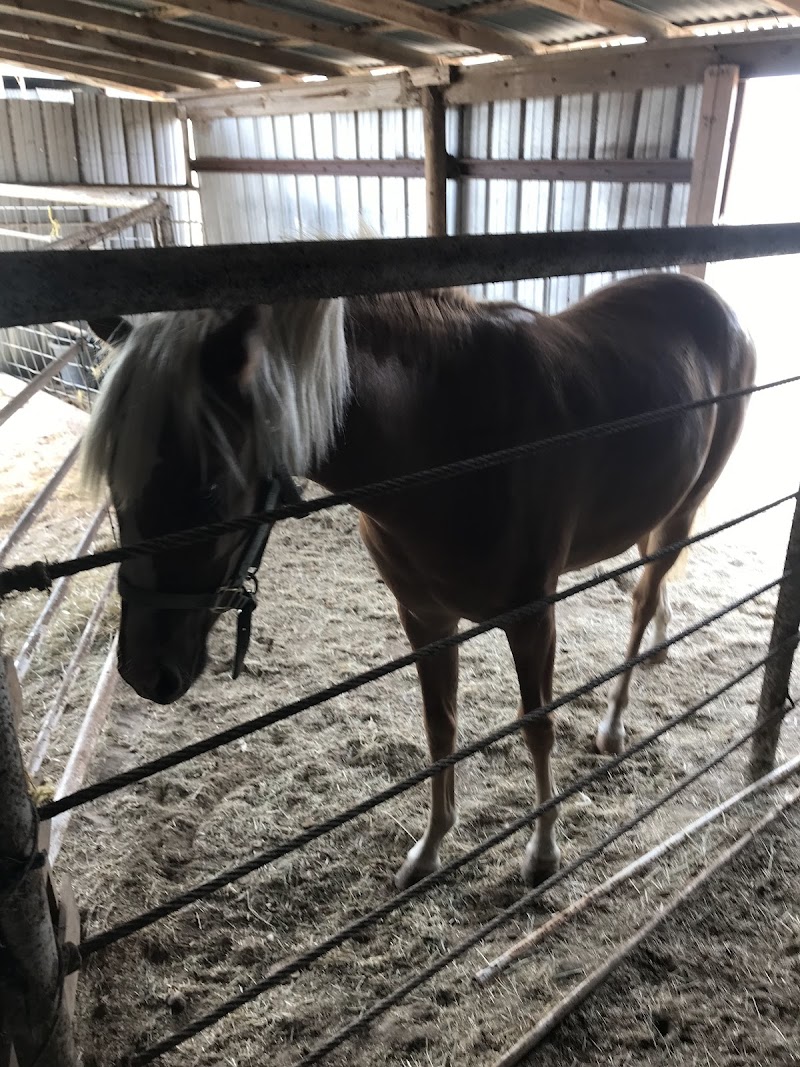 Sonador Horse Farm cover image