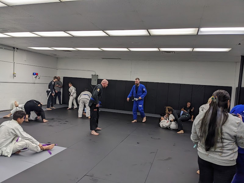 Migration Brazilian Jiu-Jitsu cover image