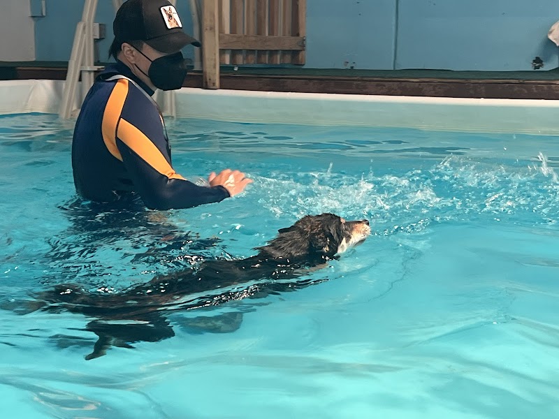 Urban Dog House cover image