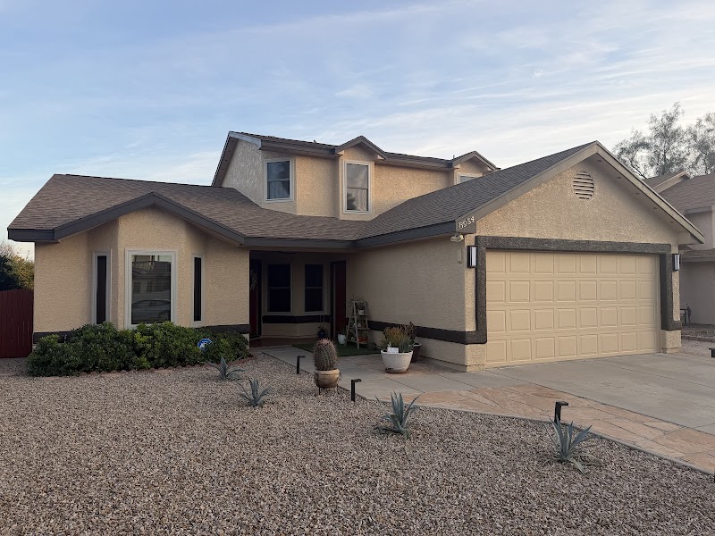 Wildcat Painting cover image