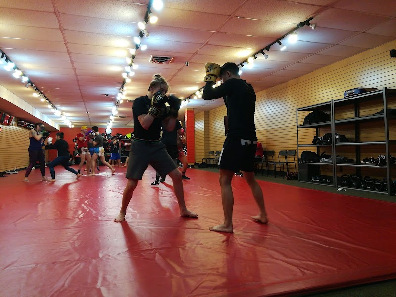 American Muay Thai & American Boxing Academy cover image