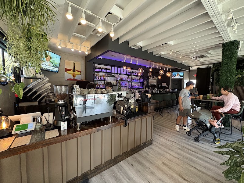 The Coffee Garden cover image