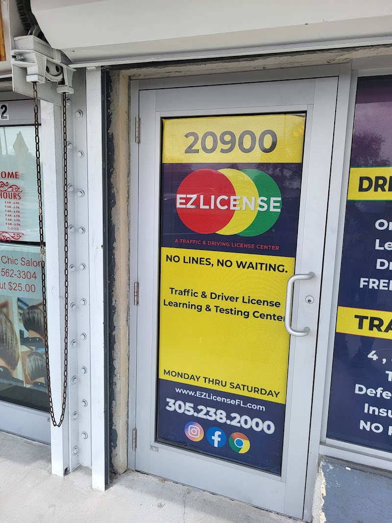 EZ License--Traffic and Driving School cover image