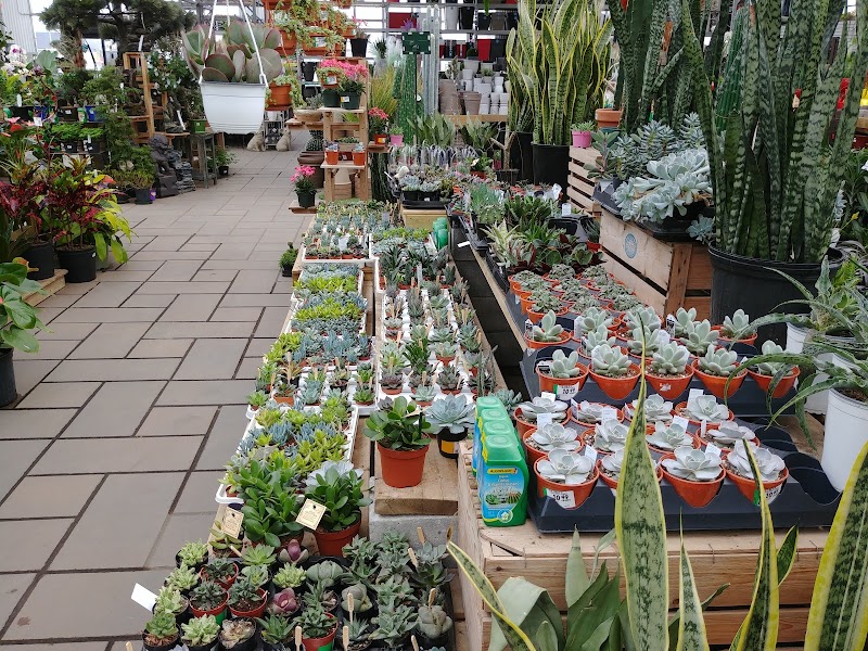 Centre De Jardin Brossard Inc cover image